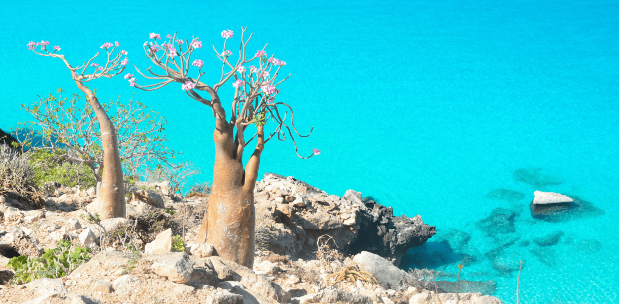 lugares naturales que no parecen reales