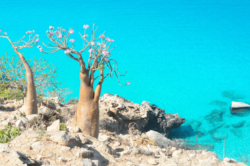 lugares naturales que no parecen reales