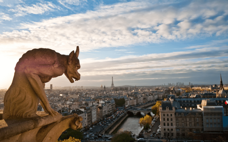 Vistas de la ciudad de París desde lo alto de Notre-Dame