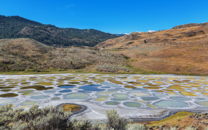 Spotted Lake en Canadá