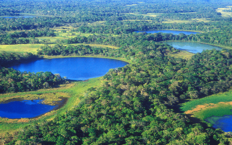 Humedales del Pantanal