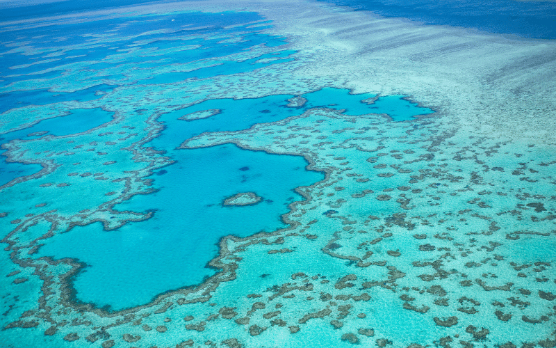 Vista de parte de la Gran Barrera de Coral