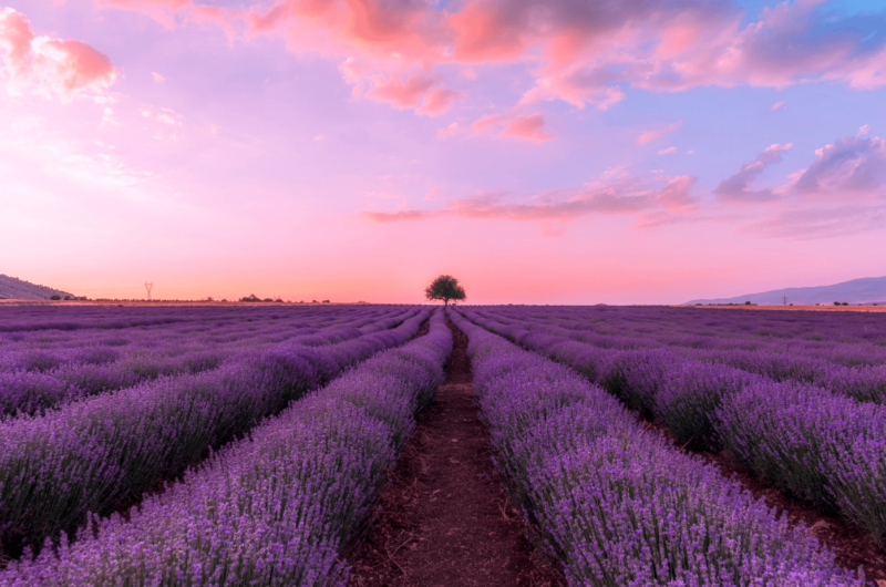 lugares más coloridos