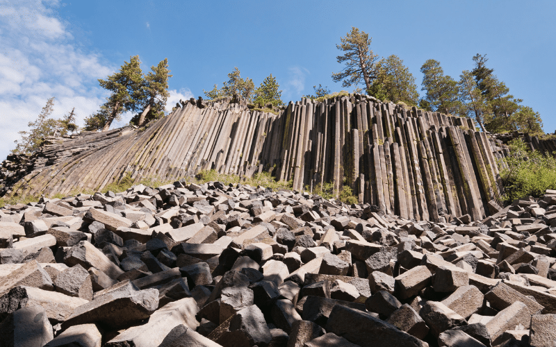 Formación de acantilados de basalto columnares coronados por árboles vista desde abajo