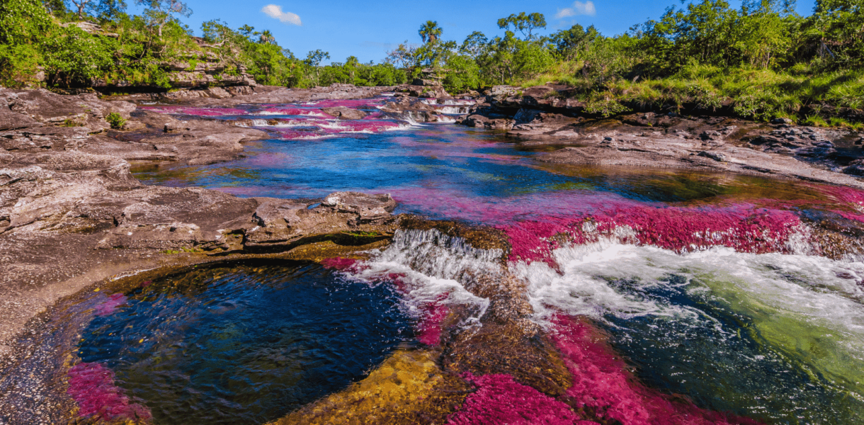caño cristales portada