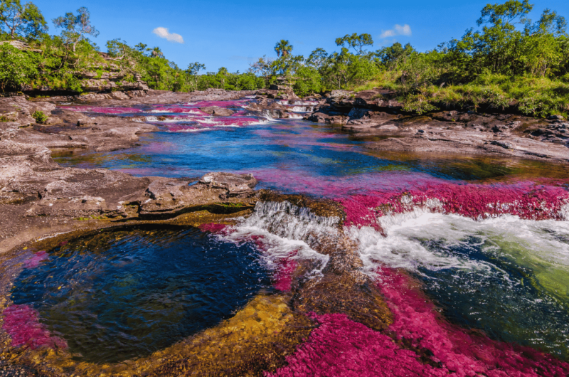 caño cristales portada