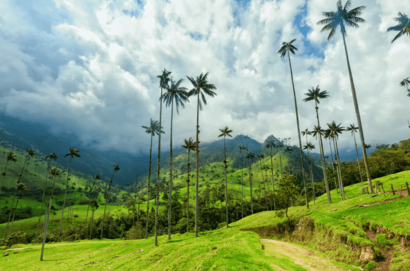 valle de cocora